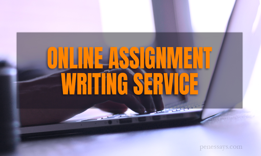 Assignment writing service, paypal