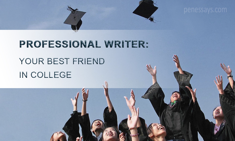 hire professional academic writer