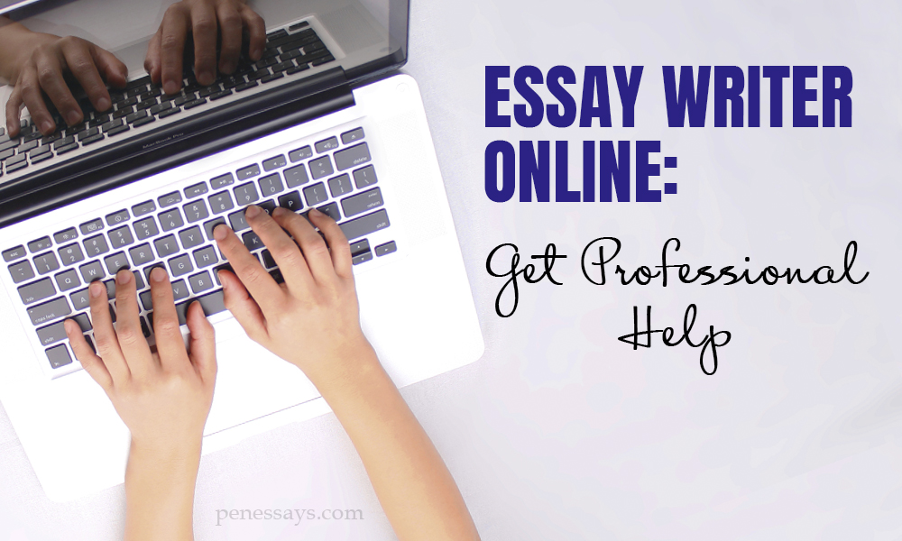 essay writer online