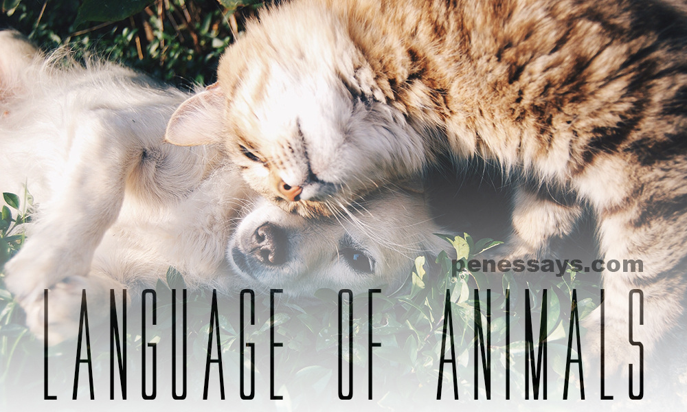 Language of animals