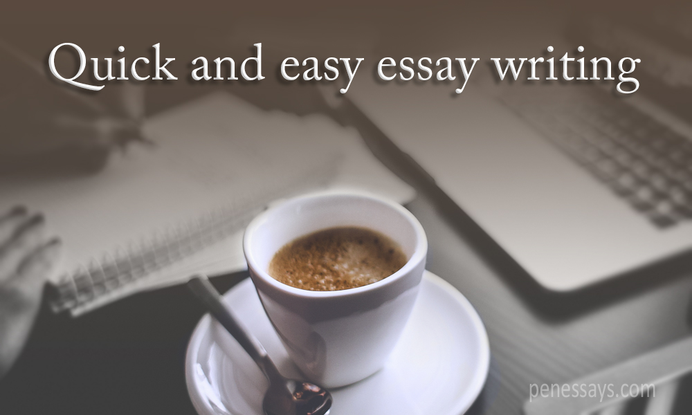 we can write your essays for money