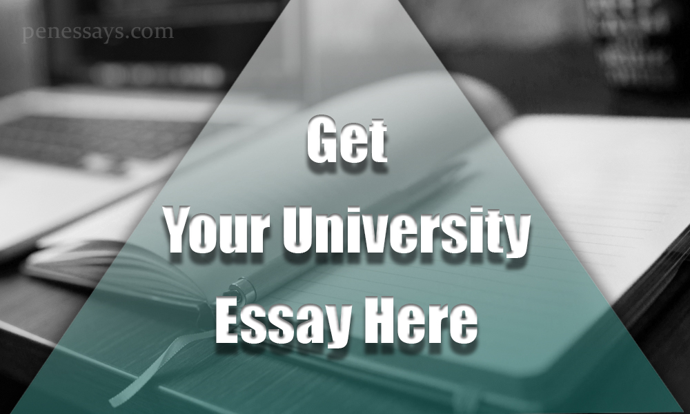 write my university essay
