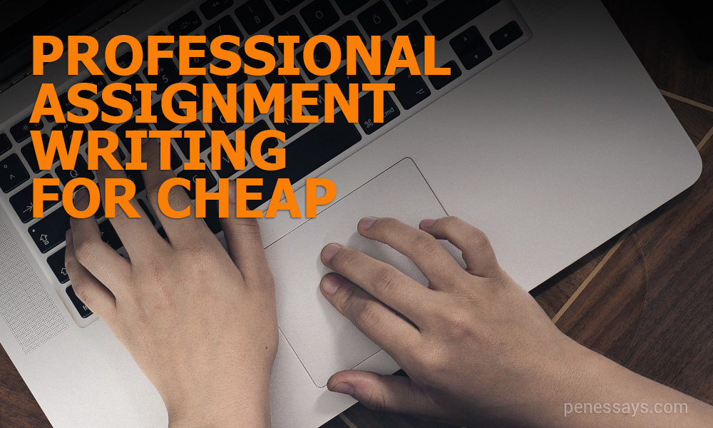 Professional Assignment Writing for Cheap
